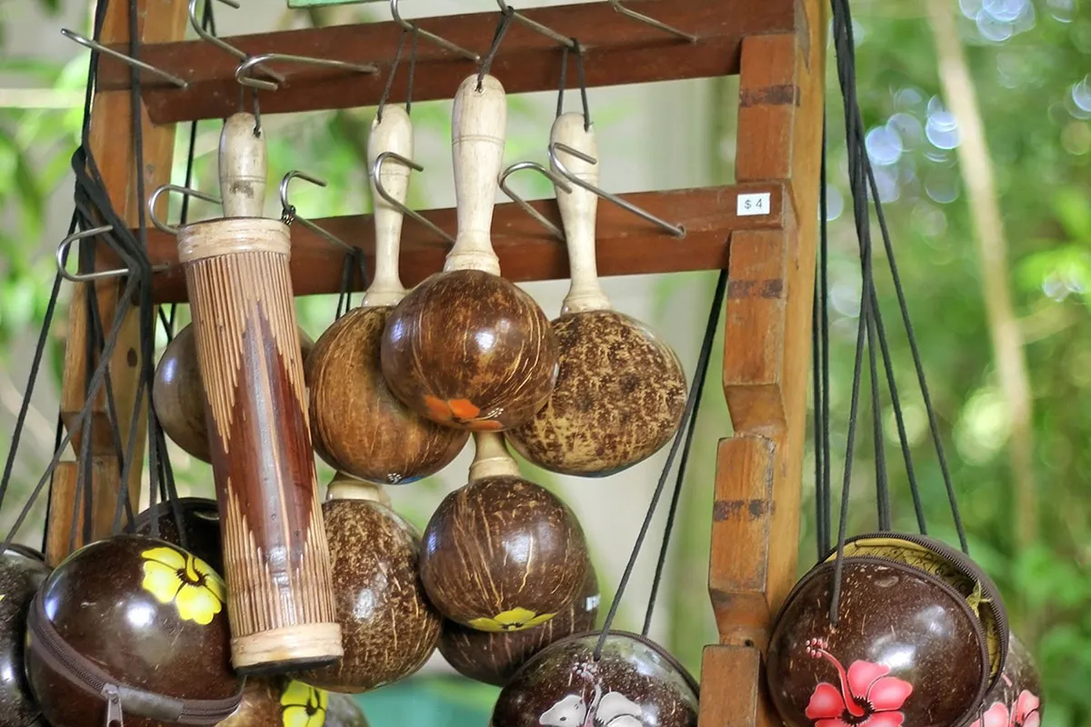 https://www.hawaiistar.com/wp-content/uploads/2023/08/hawaiian-coconut-bra.webp
