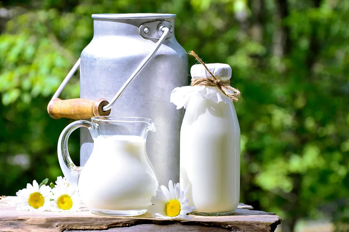 Why Is Milk So Expensive In Hawaii? Hawaii Star
