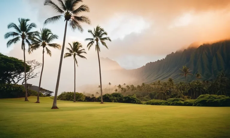 What Is Vog In Hawaii And How Does It Impact The Islands?