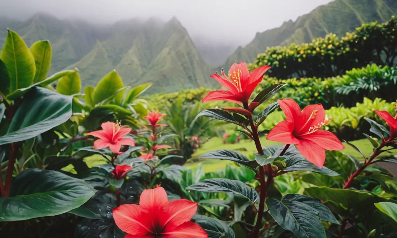 Why Are My Allergies So Bad In Hawaii? Hawaii Star